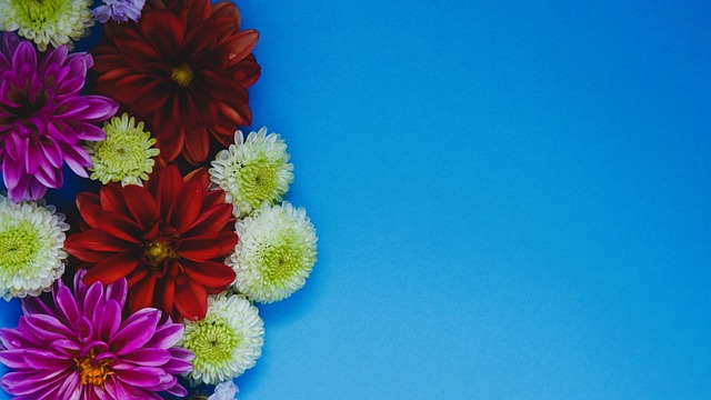 策略佈局 策略佈局