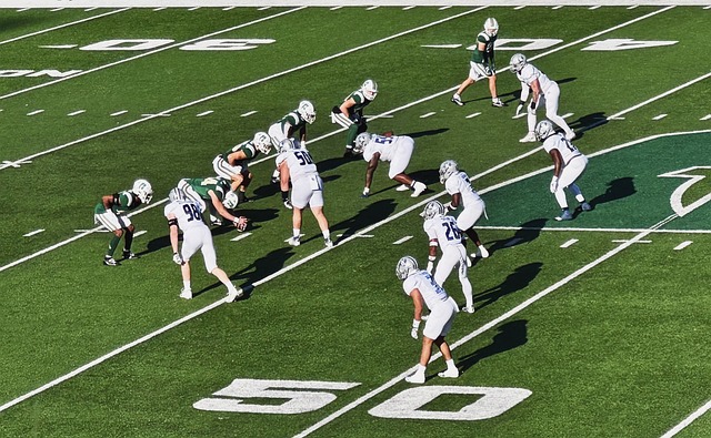 巴佩不仅展 巴佩不仅展