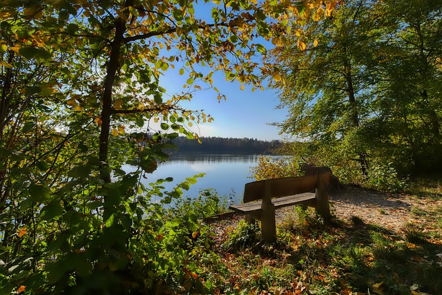 新教练通常 新教练通常