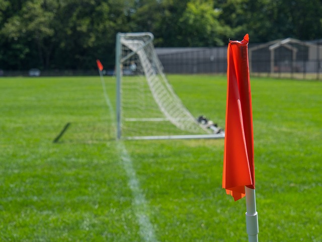 某个果蔬种 某个果蔬种