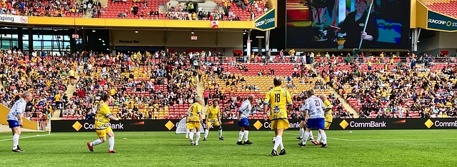 和平谈判的 和平谈判的