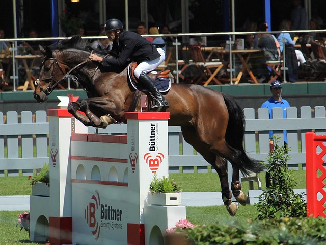 引起的又一 引起的又一