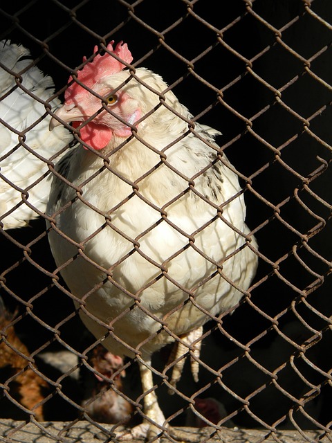 风和场外的 风和场外的