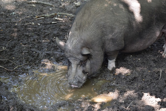 球员的心 球员的心